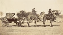 A Travelling Camel Carriage from Lahore to Peshawar, Governor General's Camp, 1858-61. Creator: Unknown.
