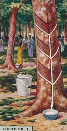 'Rubber, 1. Tapping the Trees, Ceylon', 1928. Artist: Unknown.