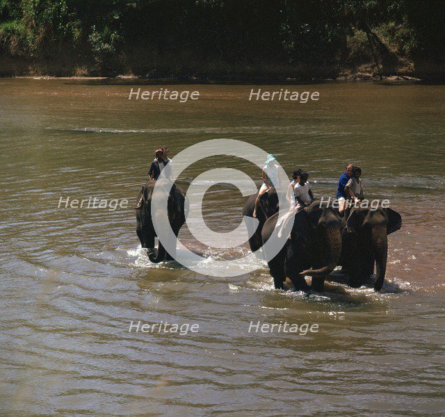 Elephant cooling off in a river. Artist: CM Dixon Artist: Unknown