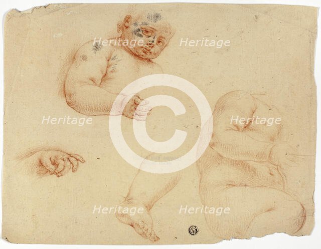 Sketches of a Child:  Half-Length, Torso, Foot, Hand, 1700/1799. Creator: Unknown.