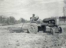 Harrowing with an Allis-Chalmers tractor, Sweden, 1950. Artist: Torkel Lindeberg