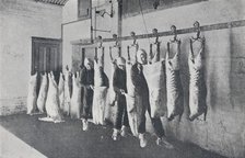 'Frozen Meat', 1923. Creator: Unknown.