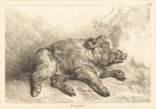 Sanglier (Wild Boar Lying Down, Head to the Right). Creator: Jacques Philippe Le Bas.