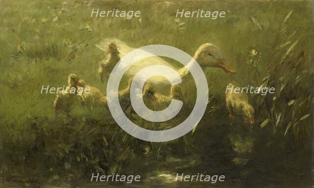 White duck and ducklings, 1880-1910.  Creator: Willem Maris.