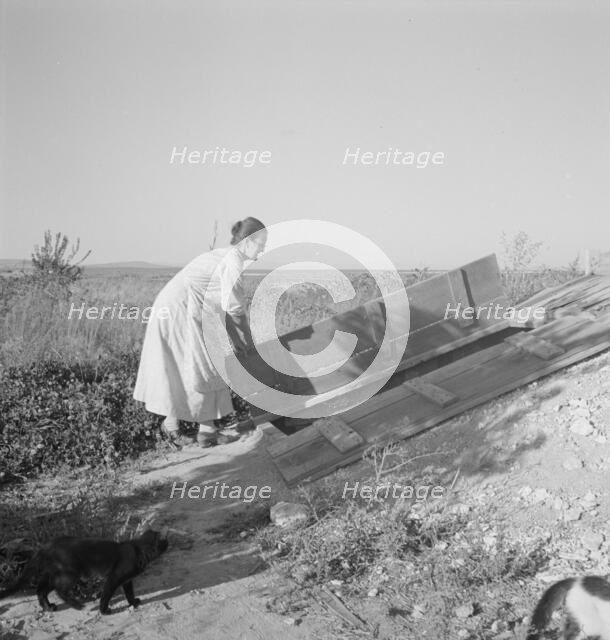 Mrs. Hull closing up the cellar which she has well-filled, Dead Ox Flat, Oregon, 1939. Creator: Dorothea Lange.