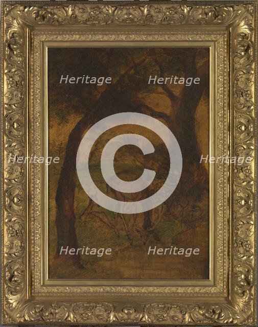 A Stag Drinking, ca. 1870s. Creator: Albert Pinkham Ryder.