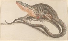 Lizard, 1680s/1690s. Creator: Workshop of Johann Teyler.
