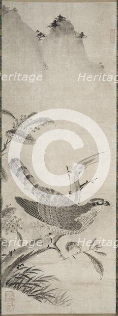 Hawk, mid 1500s. Creator: Masayoshi Fujiwara (Japanese).
