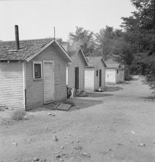 Yakima shacktown, (Sumac Park) is one of several large shacktown communities..., Washington, 1939. Creator: Dorothea Lange.
