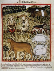Shepherds and cattle, 14th century.  Creator: Unknown.