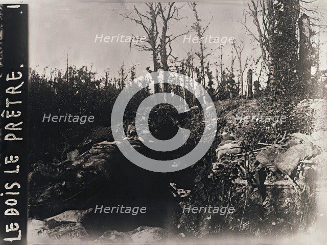 Trenches, Bois-le-Prêtre, Lorraine, northern France, c1914-c1918. Artist: Unknown.