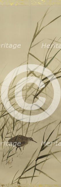 The Twelve Months, between 1900 and 1918. Creator: Watanabe Seitei.