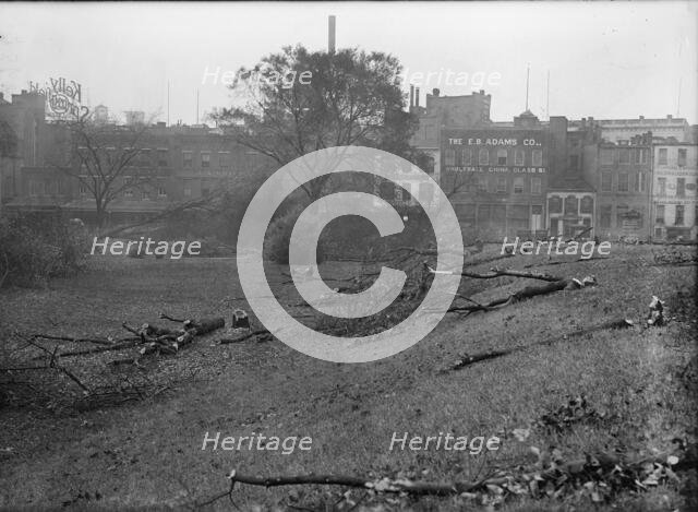 District of Columbia Parks - Cutting Trees On Mall Sites For War Buildings, 1917. Creator: Harris & Ewing.
