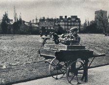 'Potatoes in Kew Gardens', 1941. Artist: Cecil Beaton.