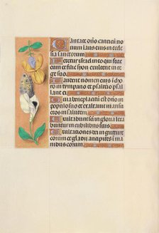 Hours of Queen Isabella the Catholic, Queen of Spain: Fol. 121v, c. 1500. Creator: Master of the First Prayerbook of Maximillian (Flemish, c. 1444-1519); Associates, and.