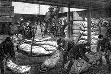 Landing Australian frozen meat from Sydney in the South West India Dock, Millwall, 1881. Creator: Unknown.