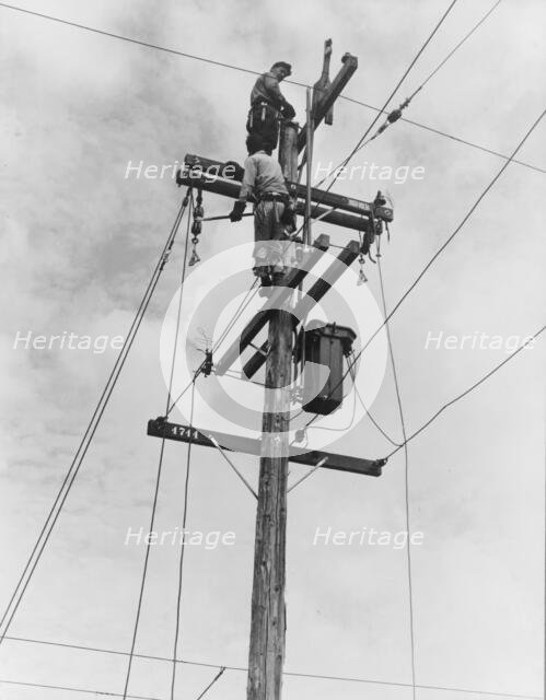 Rural electrification, San Joaquin Valley, California, 1938. Creator: Dorothea Lange.