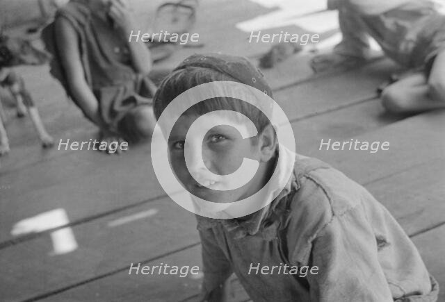 William Tengle, Hale County, Alabama, 1936. Creator: Walker Evans.