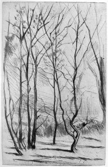 'The Dam Wood', c1875 (1904).Artist: James Abbott McNeill Whistler