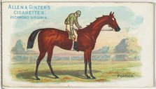 Pontico, from The World's Racers series (N32) for Allen & Ginter Cigarettes, 1888. Creator: Allen & Ginter.