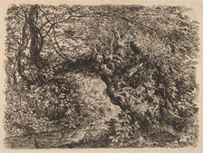 An Old Willow by a Stream, 1793. Creator: Johann Georg von Dillis.