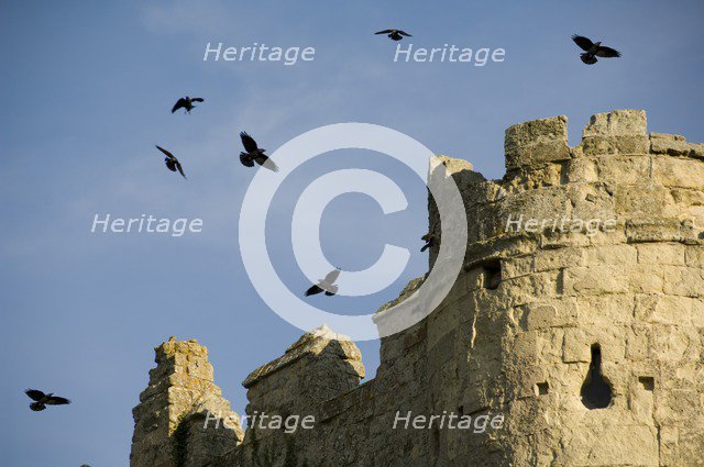 Carisbrooke Castle, Isle of Wight, c1980-c2017. Artist: Historic England Staff Photographer.