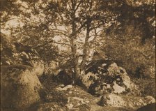 [Oak Tree and Rocks, Forest of Fontainebleau], 1849-52. Creator: Gustave Le Gray.
