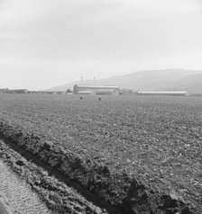 Spreckels sugar factory and sugar beet field, Monterey County, California, 1939. Creator: Dorothea Lange.