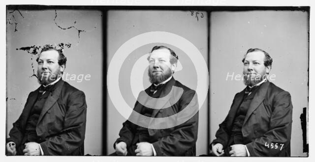 Gunther, Chas. Godfrey, Mayor of N.Y. in 1863, ca. 1860-1865. Creator: Unknown.