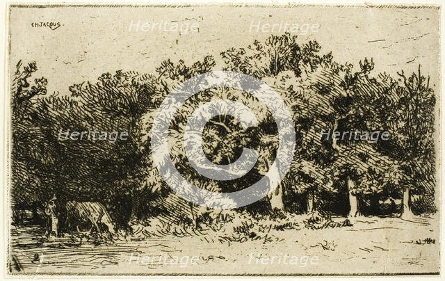 A Part of the Forest of Fontainebleau, 1849. Creator: Charles Emile Jacque.