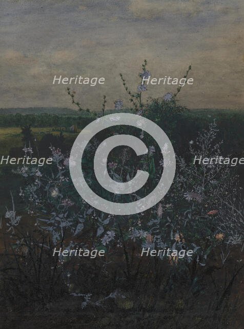 Wild Chicory in front of a Landscape, 1864. Creator: Leon Bonvin.