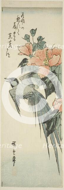 Long-tailed bird and hibiscus, 1830s-1840s. Creator: Ando Hiroshige.