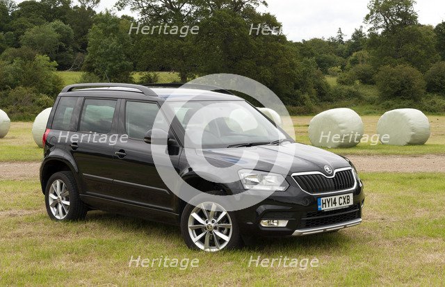 2014 Skoda Yeti SE Artist: Unknown.