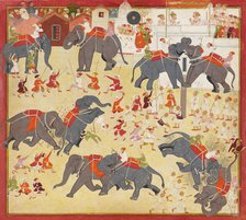 Maharana Raj Singh observing an elephant fight, ca. 1670-1675. Creator: Unknown.