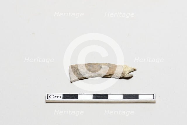 Oracle bone, inscribed, Shang dynasty, ca. 1600 - ca. 1050 BCE. Creator: Unknown.