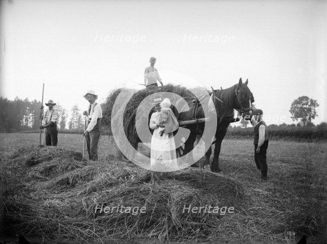 Farm labourers, Warden Hill, Northamptonshire, 1902. Artist: A Newton
