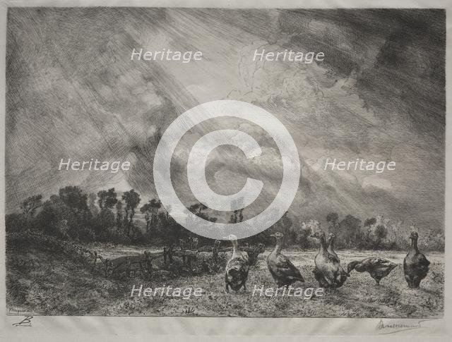 The Storm Cloud, 1878-1887. Creator: Félix Bracquemond (French, 1833-1914).