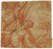 Flaying of Marsyas, n.d. Creator: Unknown.