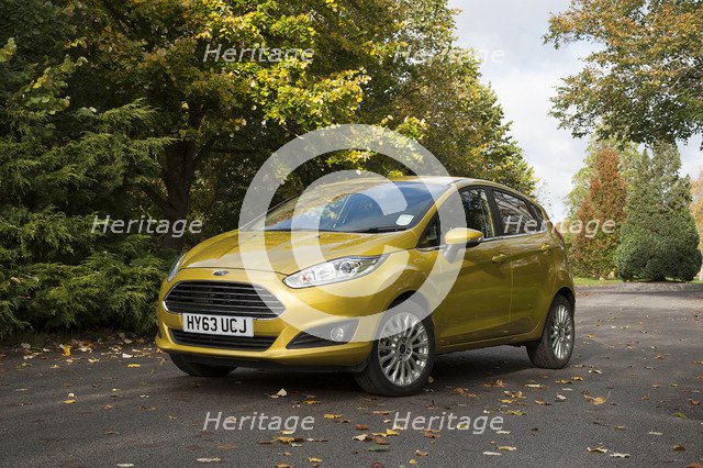 2013 Ford Fiesta Econetic Artist: Unknown.