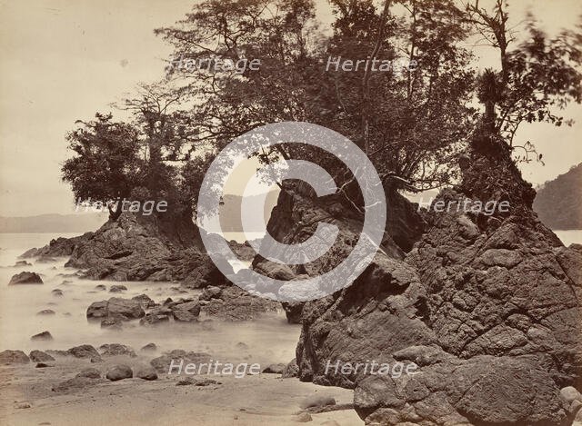 Tropical Scenery, Limon Bay - Low Tide, 1871. Creator: John Moran.