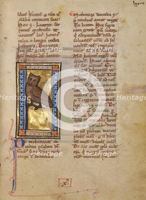 A Night Heron; Bestiary, about 1270. Creator: Unknown.