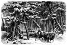 Lumbering in New Brunswick - Lumbermen at Work in the Forest, 1858. Creator: Unknown.