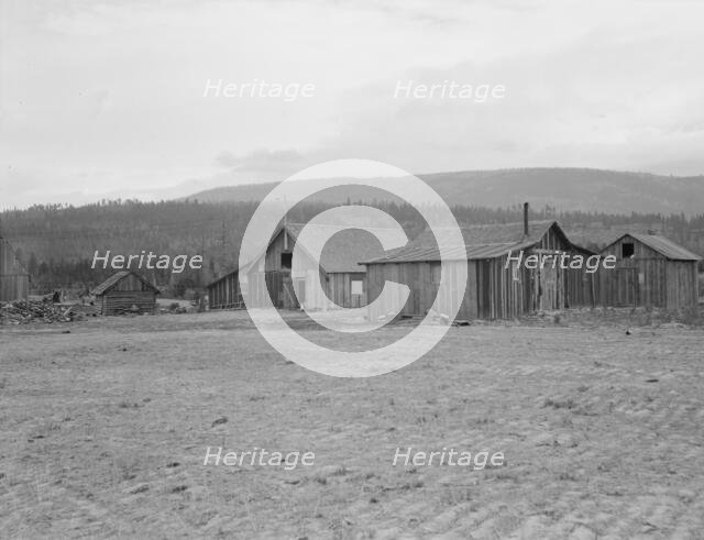 Partially-developed stump ranch seen across cleared grain field, Boundary County, Idaho, 1939. Creator: Dorothea Lange.