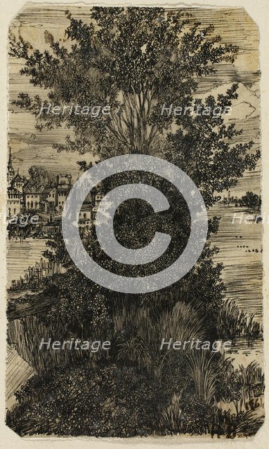 Clump of Trees with a Village in the Distance, 1861. Creator: Rodolphe Bresdin.