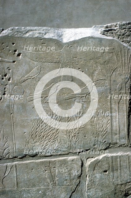 Reliefs in the Botanical Garden, Temple of Amun, Karnak, Egypt. Artist: Unknown