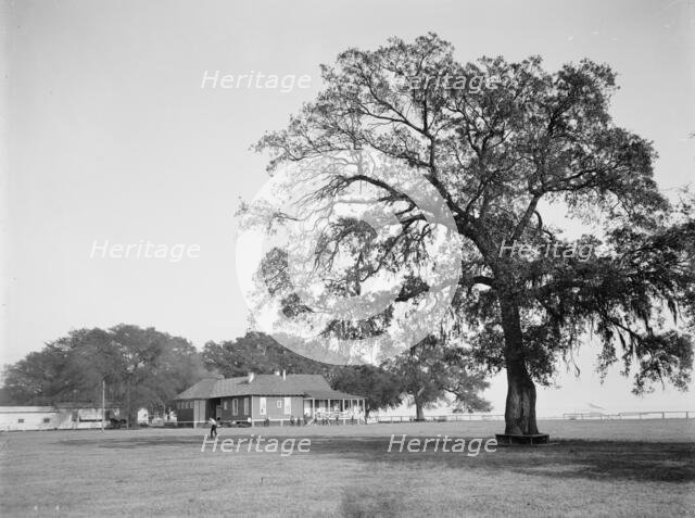 Mobile Country Club, Mobile, Ala., between 1900 and 1906. Creator: Unknown.