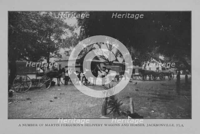 A number of Martin Ferguson's delivery wagons and horses, Jacksonville, Fla., 1902. Creator: Unknown.