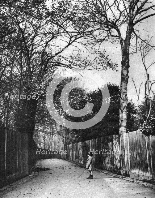 Autumn time in Holland Walk, London, 1926-1927.Artist: McLeish