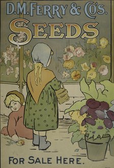 D. M. Ferry & Co's. seeds, c1895 - 1917. Creator: Unknown.