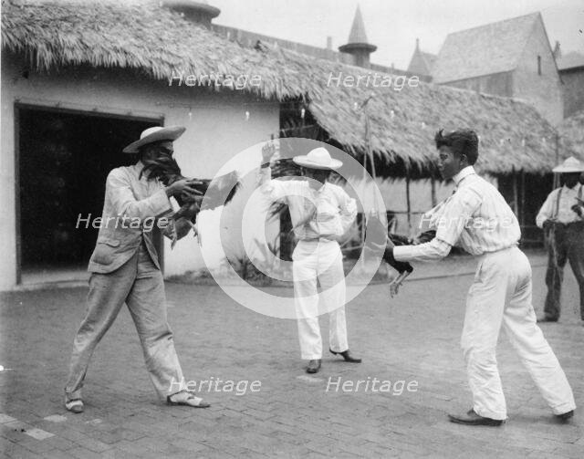 Two cock-fighters and referee at the World's Columbian Exposition, Chicago, Illinois, 1892 or 1893. Creator: Frances Benjamin Johnston.